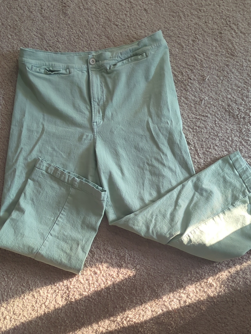 Madewell Soft Sage Green Pants
